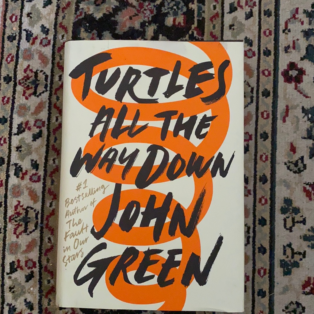 Turtles All The Way Down Book
